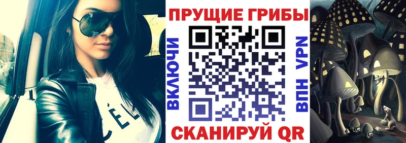 Псилоцибиновые грибы MAGIC MUSHROOMS площадка формула Палласовка цены